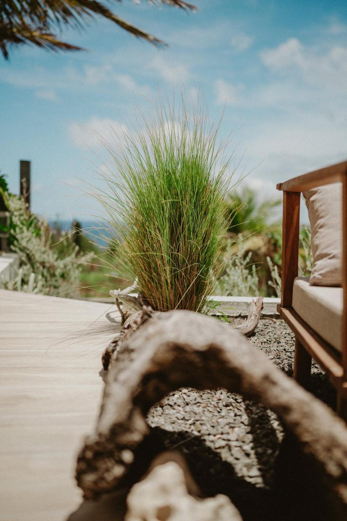 Villa Manika Vue Mer Le Moule Eksteriør billede